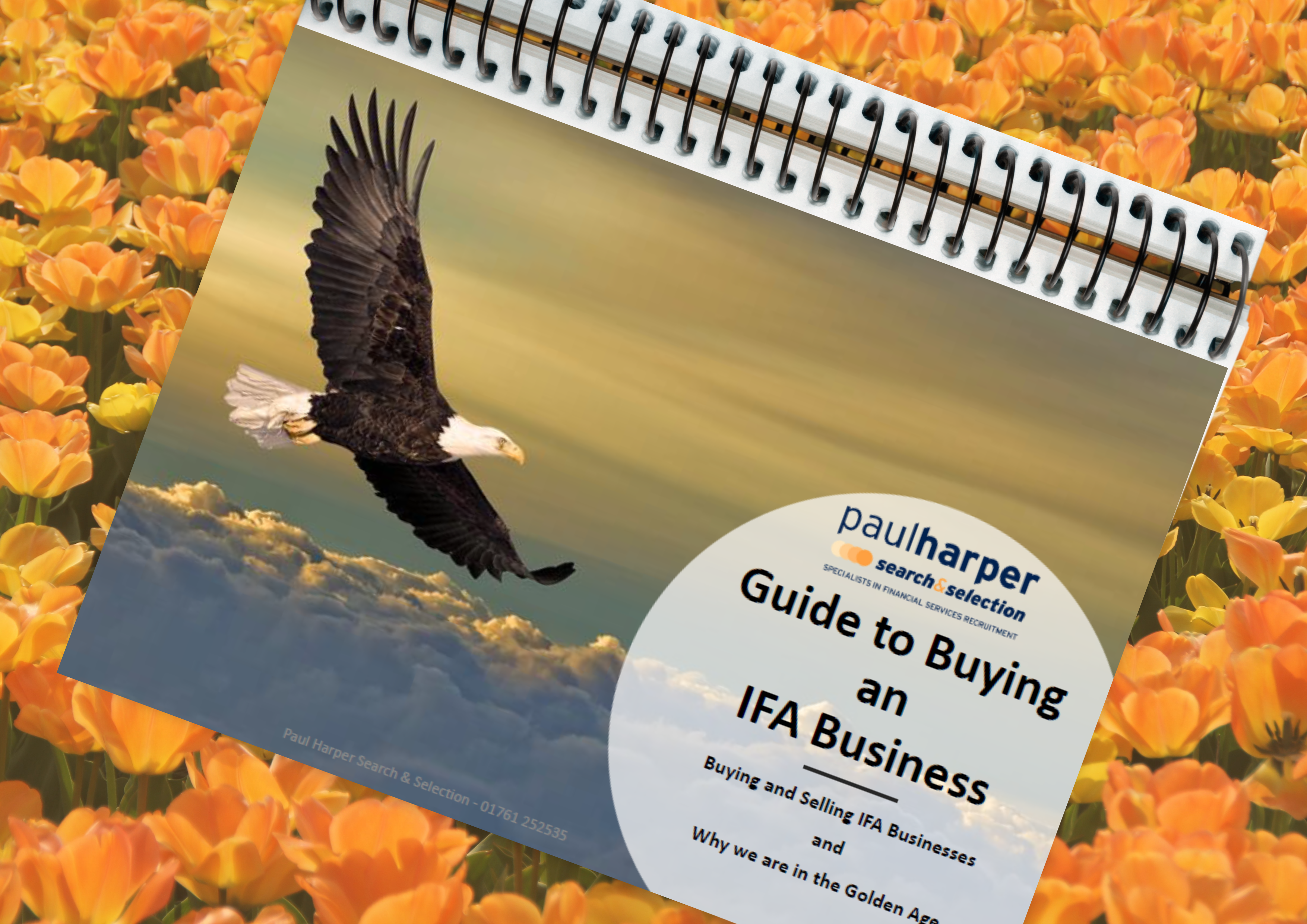 Guide to Buying an IFA Business