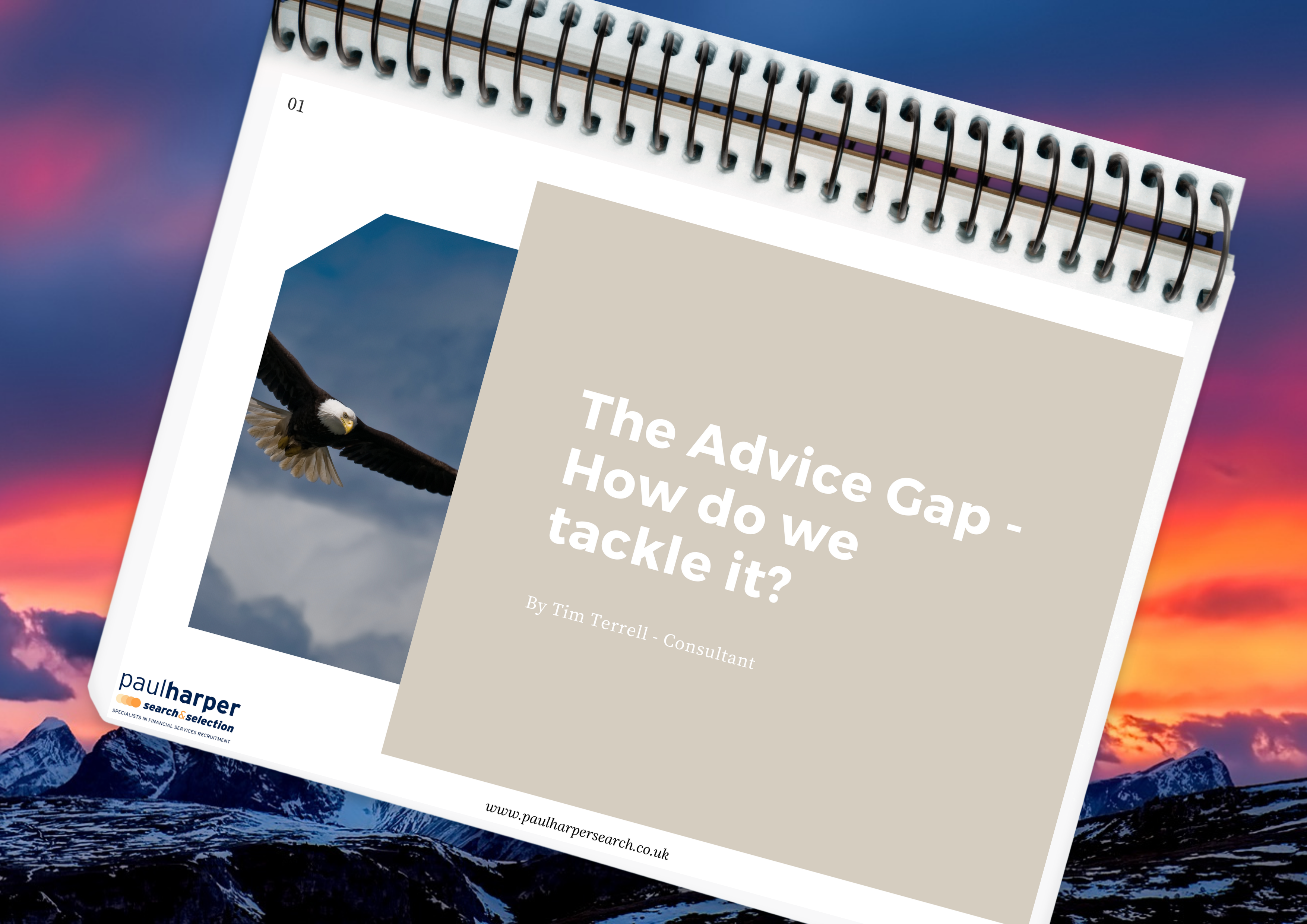 The Advice Gap by Tim Terrell