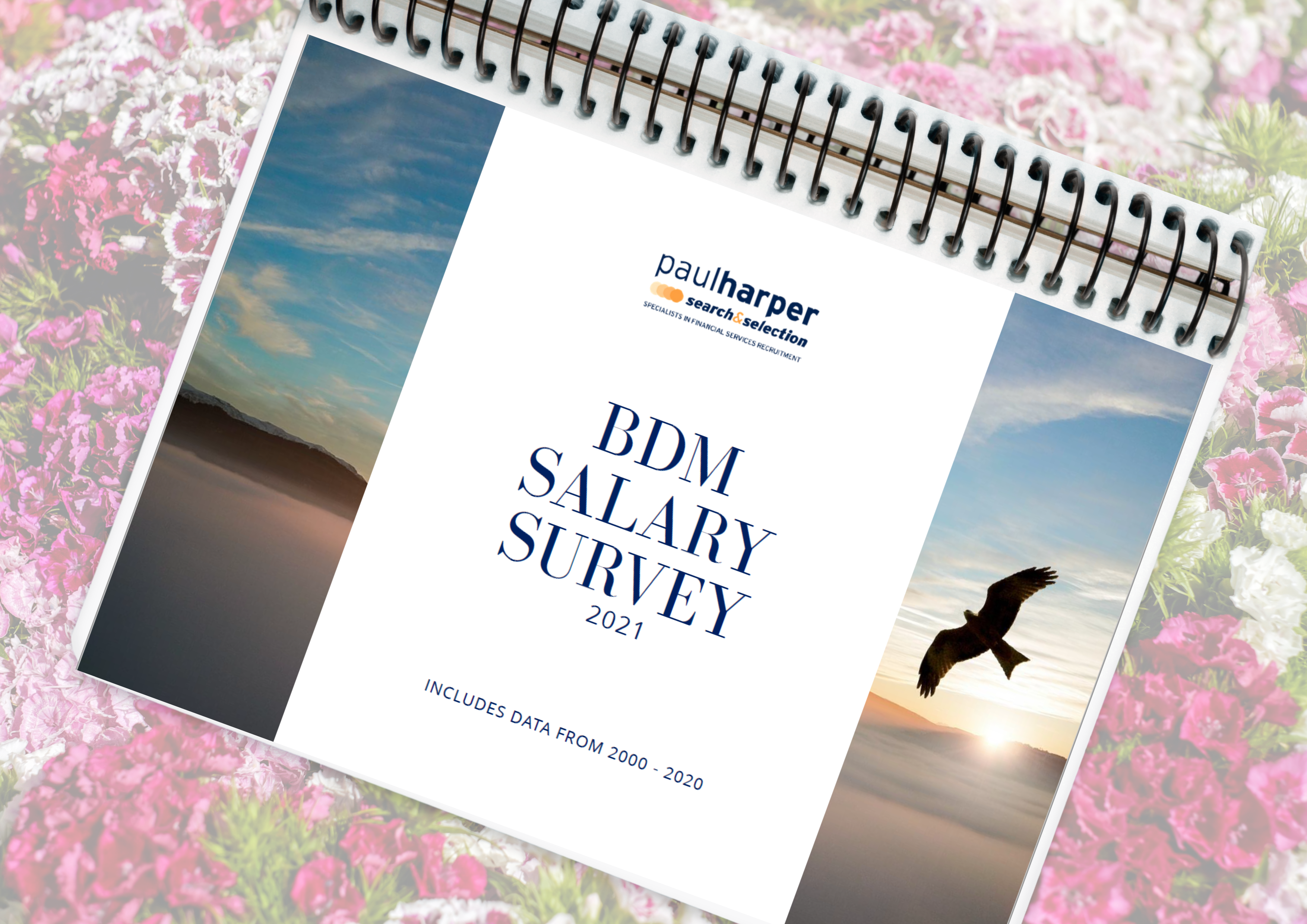 BDM Salary Survey 2021